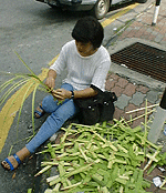 city19-3.gif (23130 oCg)