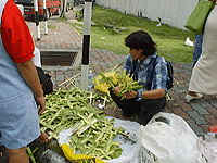 city19-4.gif (25057 oCg)