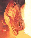 petoro12.gif (11073 $B%P%$%H(B)