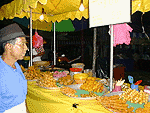 pesta1.gif (10737 $B%P%$%H(B)